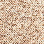Carpet Samples