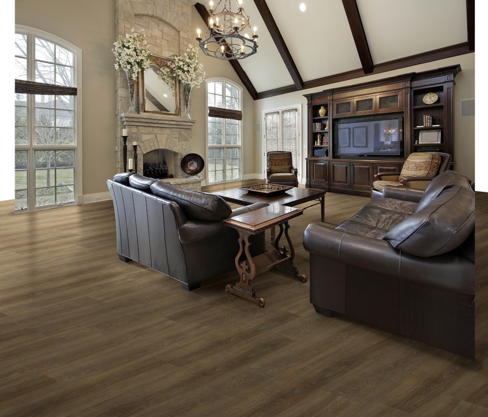 vinyl in living room