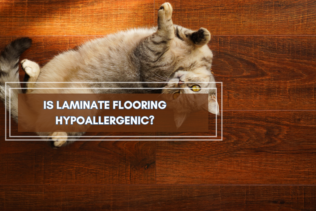 Is Laminate Flooring Hypoallergenic - Featured Banner (1024 x 683 px)