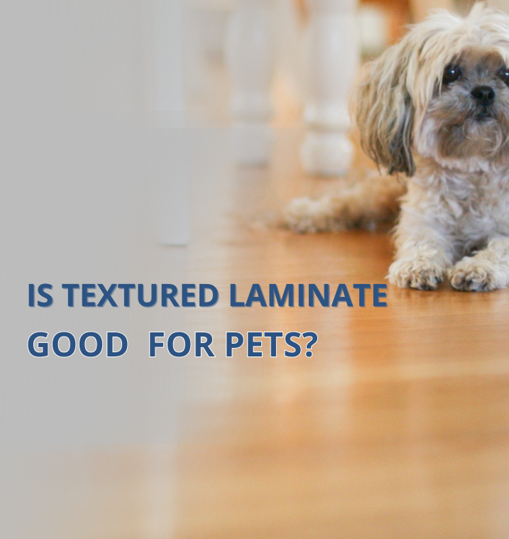 Is Textured Laminate Good for Pets Let's Find Out - Featured Banner (1)