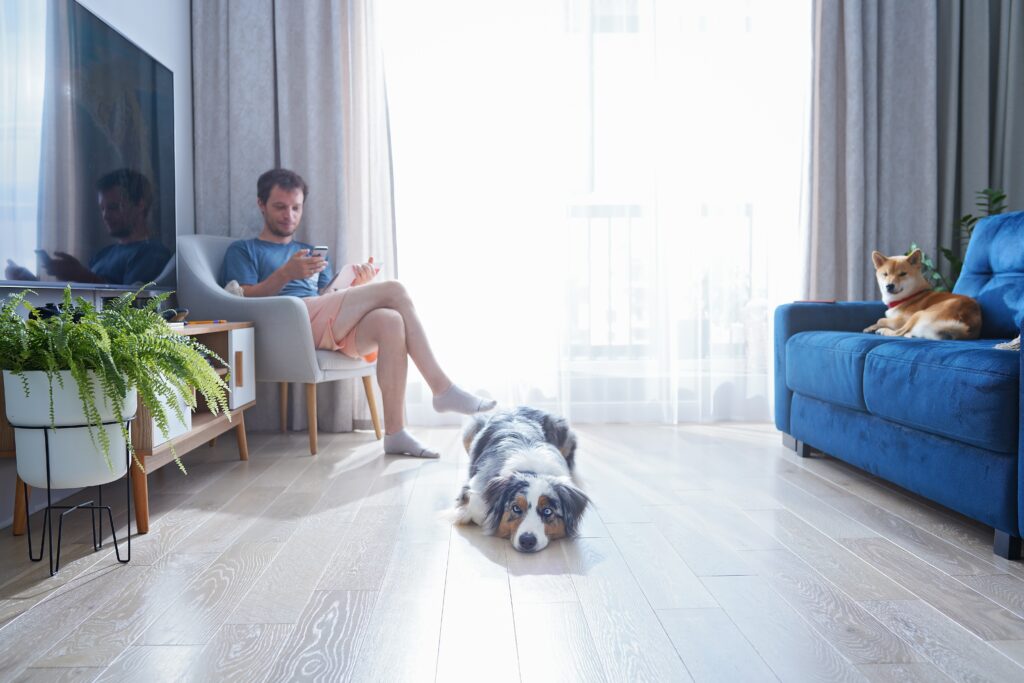 adult-man-reading-his-phone-and-sitting-in-cozy-re-2023-11-27-05-17-30-utc