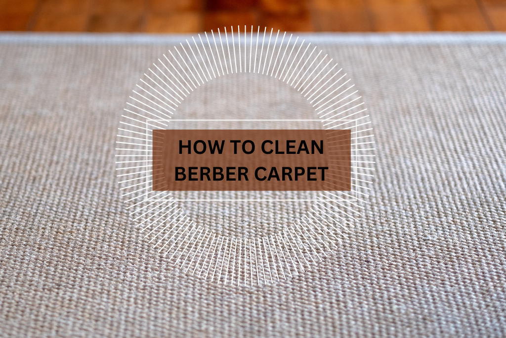 How to Clean Berber Carpet (5)