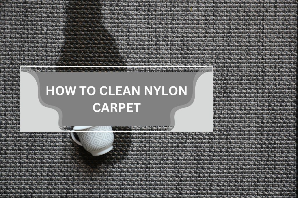 how to clean nylon carpet