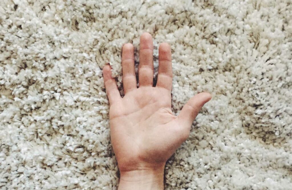 nylon frieze carpet with hand